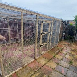 Freestanding Waterproof Catio Enclosure 12FT X 8FT X 8FT Tall Freestanding Waterproof Catio Enclosure 12FT X 8FT X 8FT Tall